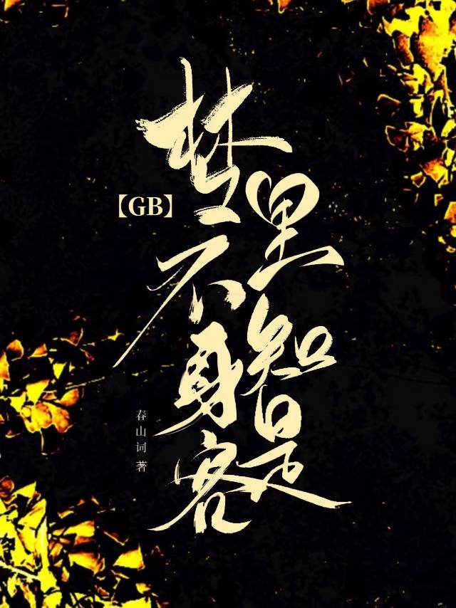 梦里不知身是客GB