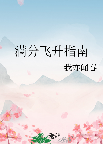 满分飞升指南