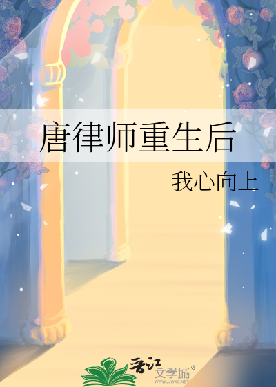 女主是唐律师的小说