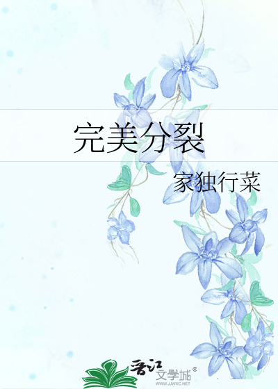 完美的分歧 下载